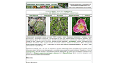 Desktop Screenshot of flower.onego.ru