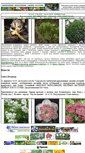 Mobile Screenshot of flower.onego.ru